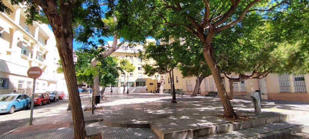 Foto: Plaza del Árbol - Cádiz (Andalucía), España