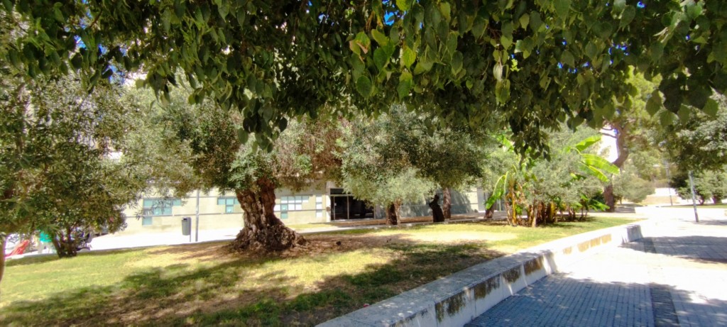 Foto de Cádiz (Andalucía), España