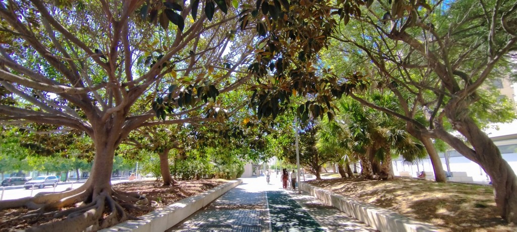 Foto: Jardines Victimas de la Talidomida - Cádiz (Andalucía), España