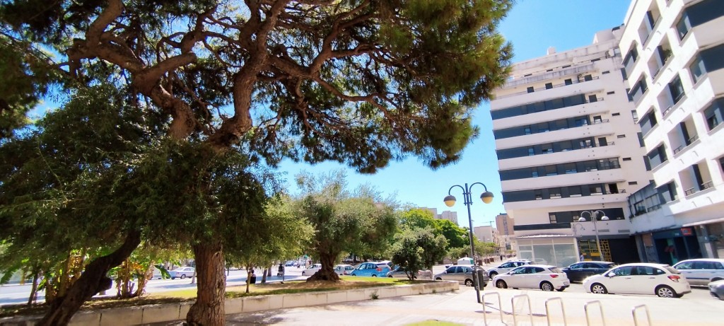 Foto de Cádiz (Andalucía), España