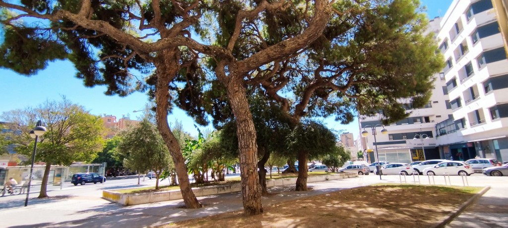 Foto de Cádiz (Andalucía), España