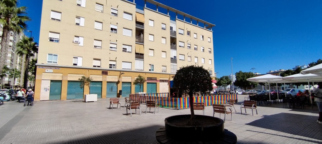Foto: Plaza Profesor Pedro Payán - Cádiz (Andalucía), España