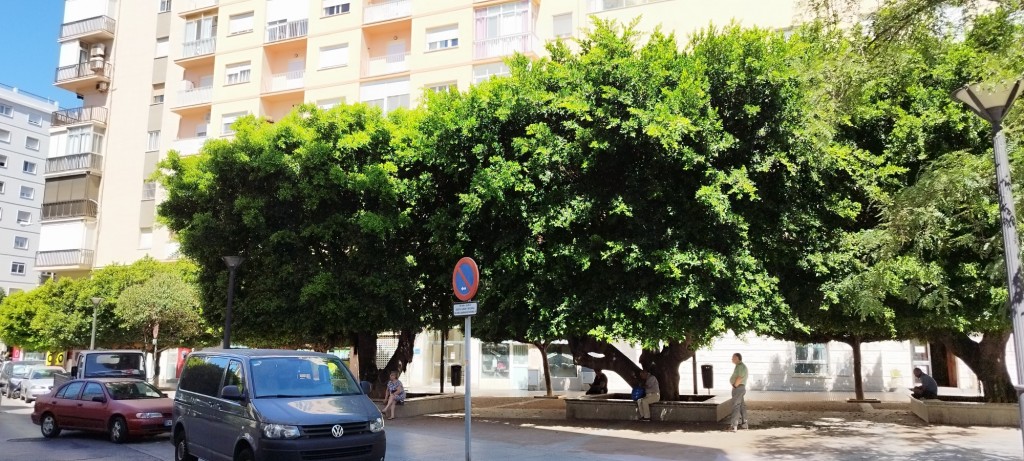 Foto: Avenida Portugal - Cádiz (Andalucía), España
