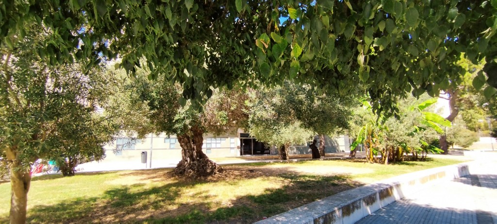 Foto de Cádiz (Andalucía), España