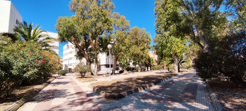 Foto: Parque Cementerio de los Ingleses - Cádiz (Andalucía), España