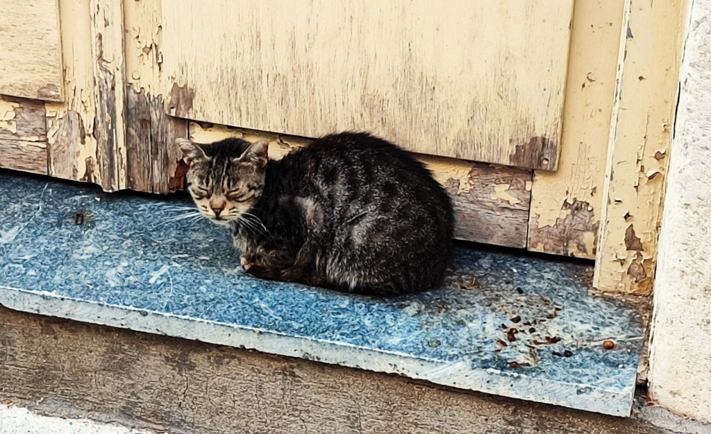 Foto: Διονύσιος Σολωμός - Corfú (Ionian Islands), Grecia