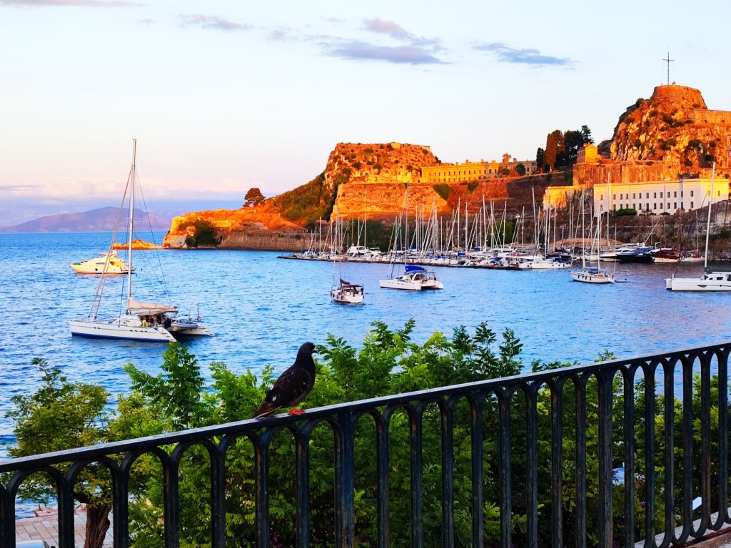 Foto: Κέρκυρα - Corfú (Ionian Islands), Grecia