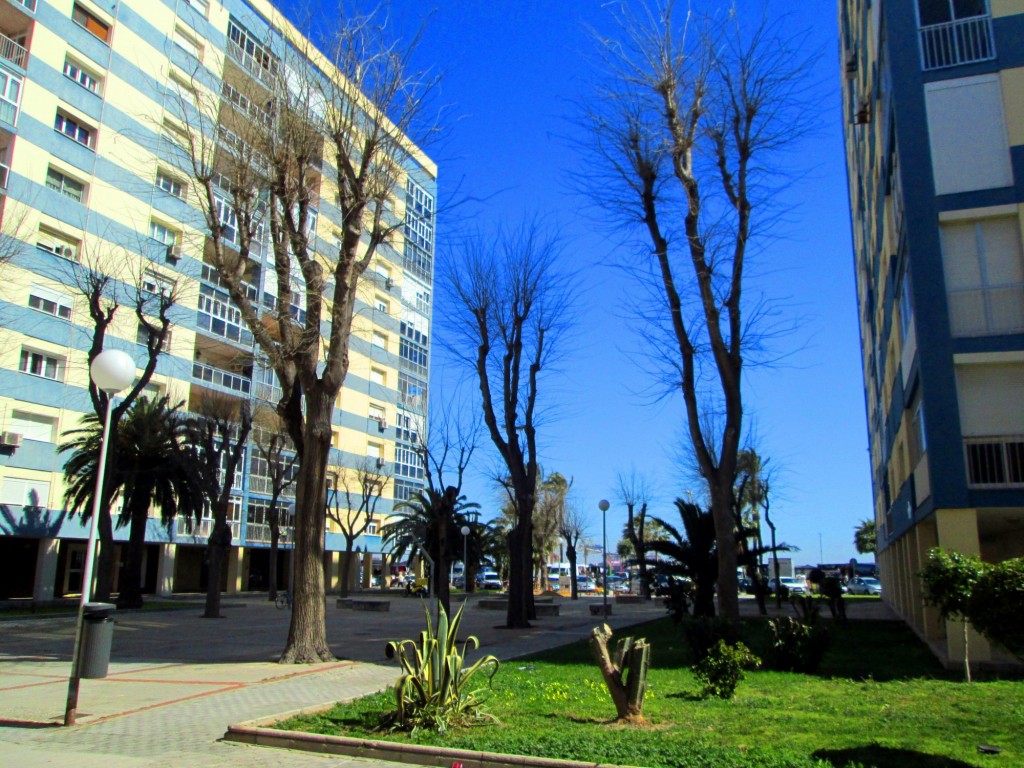 Foto: Plaza Prof. M. Martinez del Cerro - Cádiz (Andalucía), España
