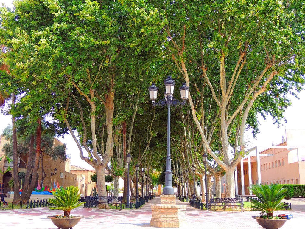Foto: Plaza Pilar Pulgar - Palos de la Frontera (Huelva), España