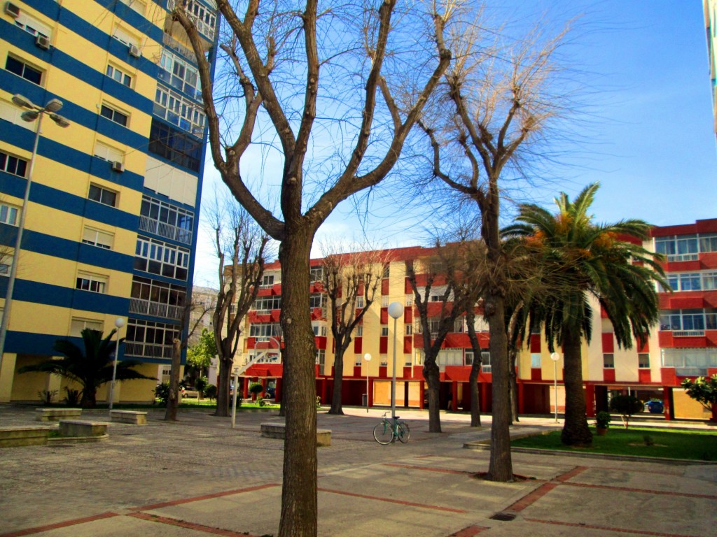 Foto: Plaza Prof. M. Martinez del Cerro - Cádiz (Andalucía), España