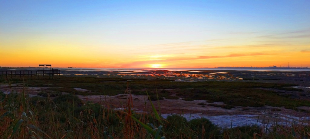 Foto: Mirador Bahía Sur - San Fernando (Cádiz), España