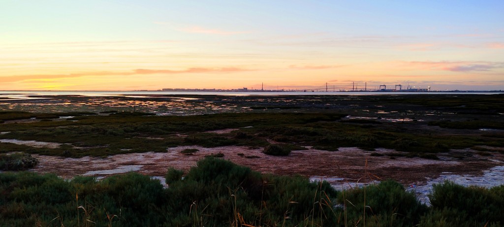 Foto: Silueta de Cádiz al fondo - San Fernando (Cádiz), España