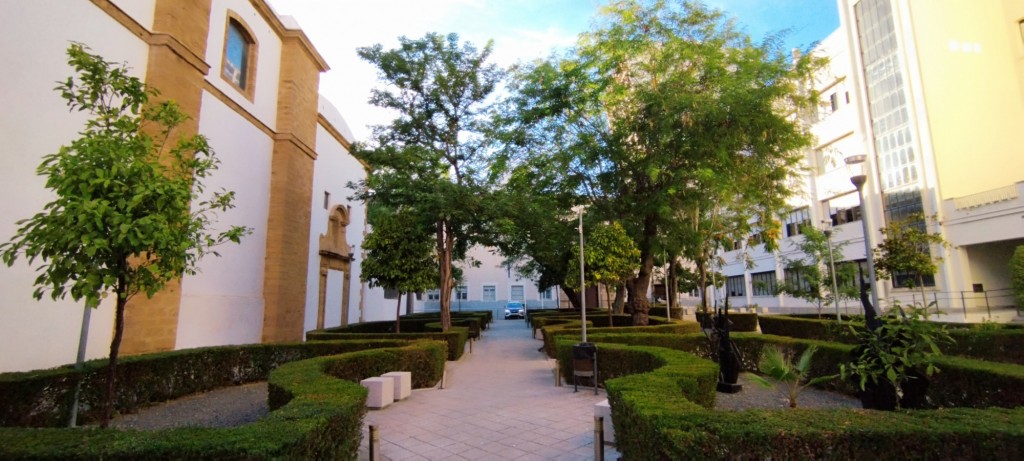 Foto: Jardines del Centro de Alumnados de la Universidad - Cádiz (Andalucía), España