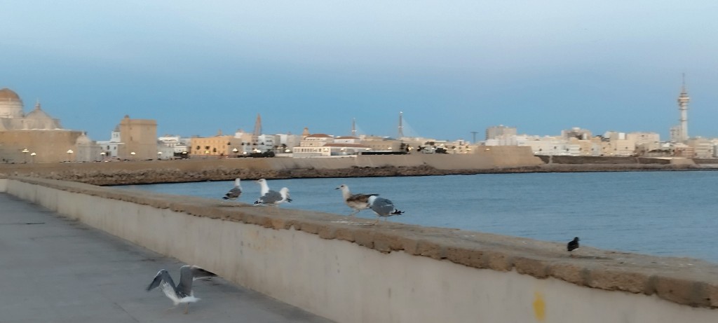 Foto de Cádiz (Andalucía), España