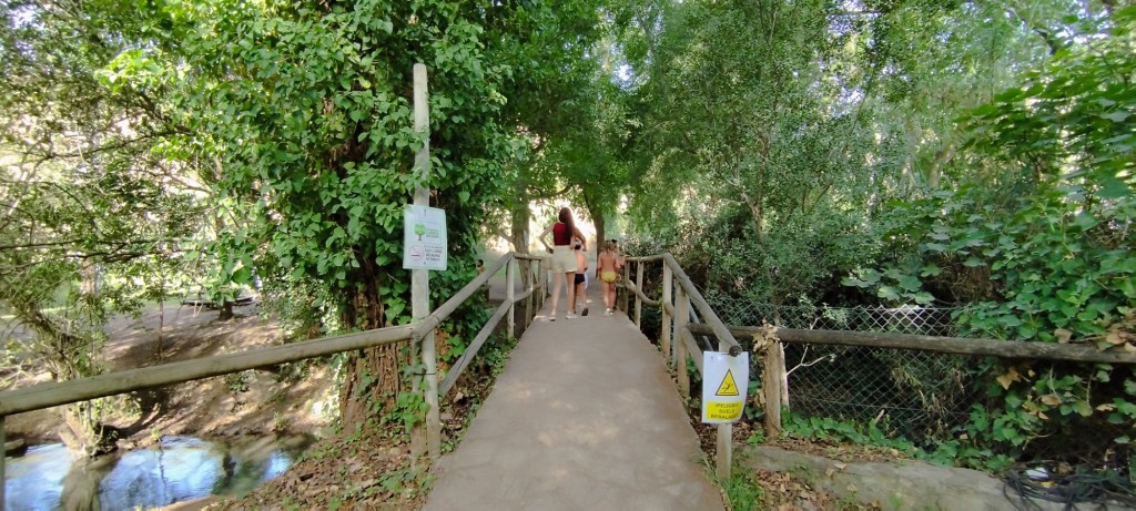 Foto: Área Recreativa Arroyomolinos - Zahara de la Sierra (Cádiz), España