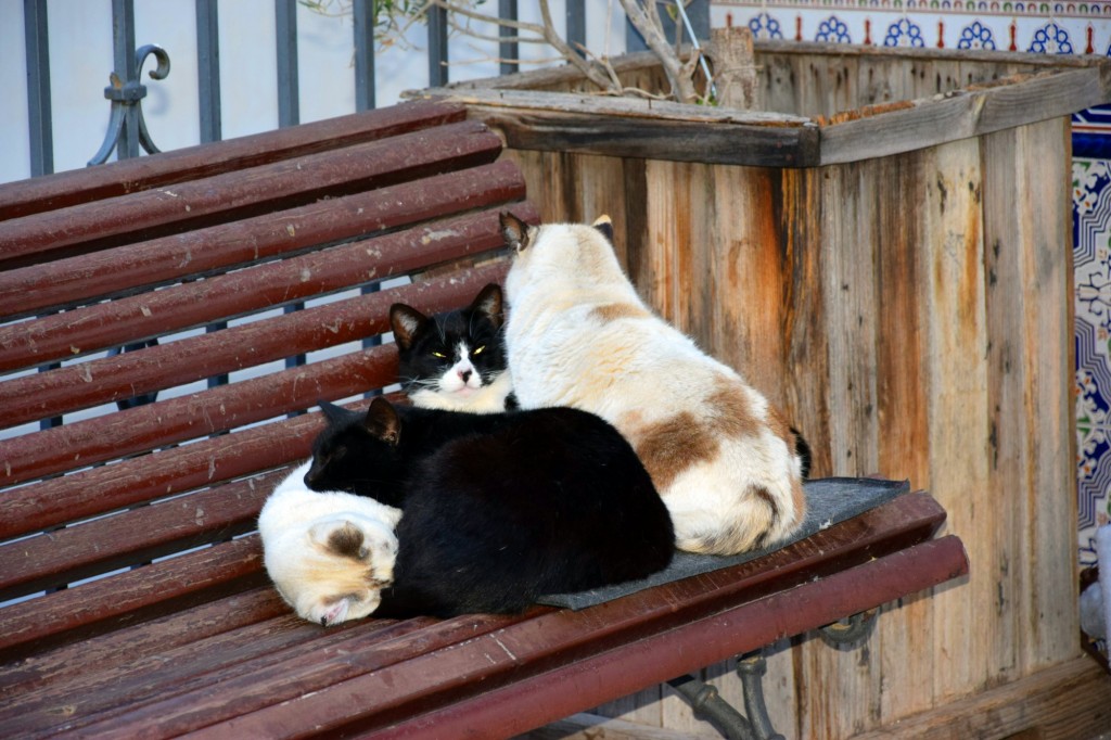 Foto de Almuñecar (Granada), España