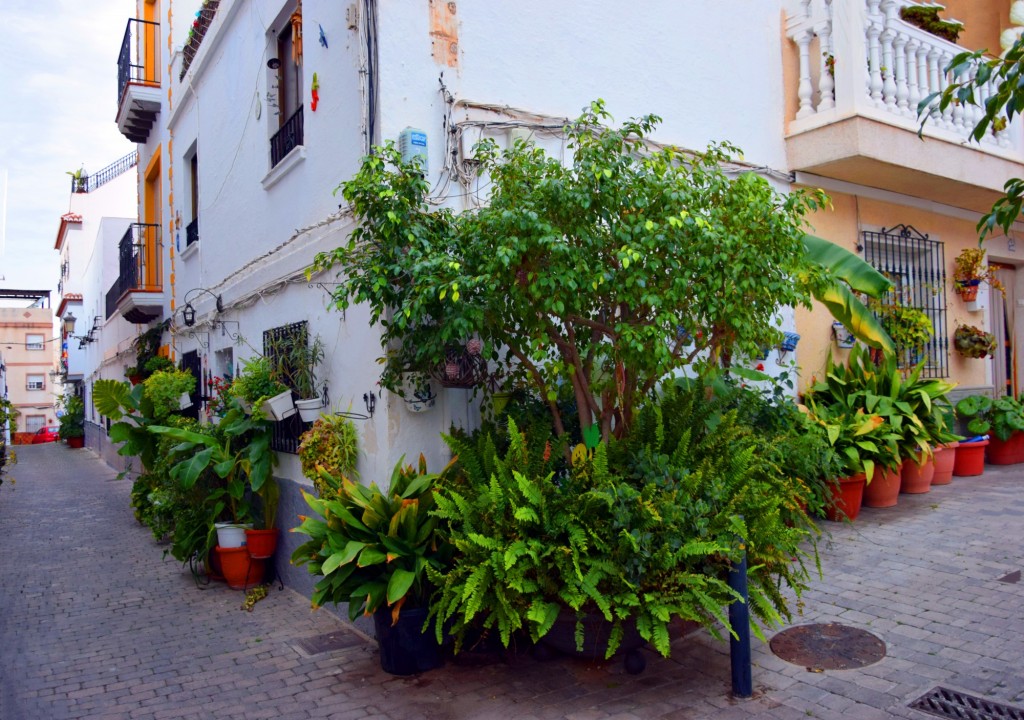 Foto de Almuñecar (Granada), España