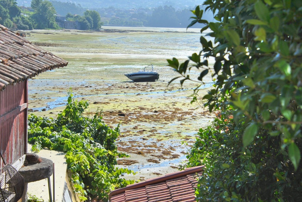Foto: Marea baja - Combarro (Pontevedra), España