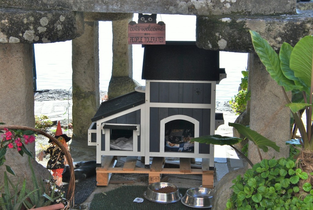 Foto: Centro histórico - Combarro (Pontevedra), España