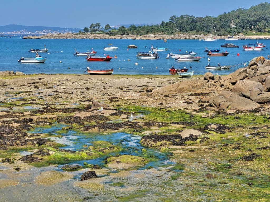 Foto: Marea baja - Isla de Arosa (Pontevedra), España
