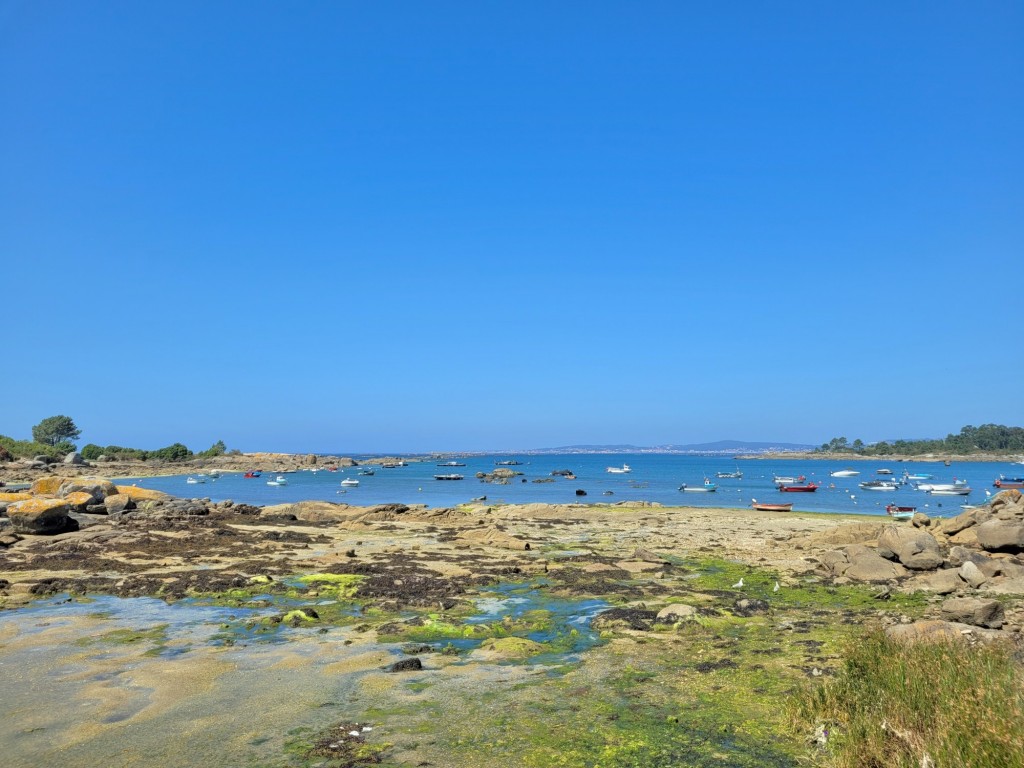 Foto: Marea baja - Isla de Arosa (Pontevedra), España