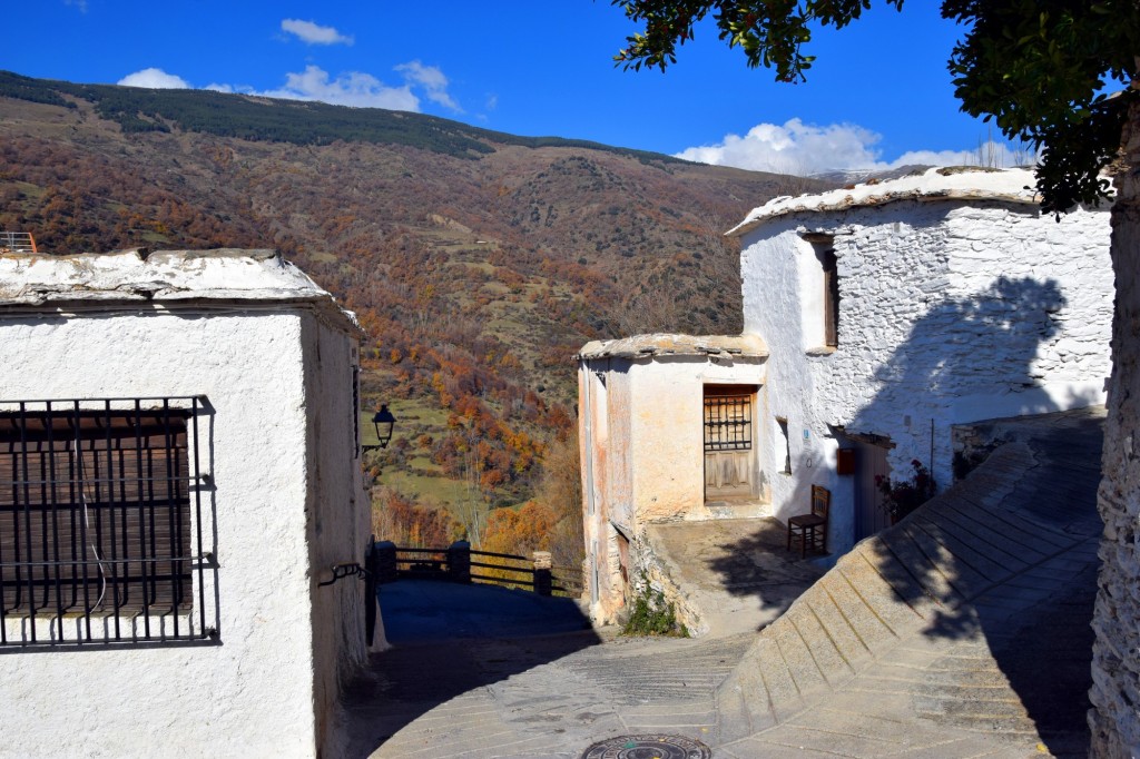 Foto: Bajada a Cerecillo - Capileira (Granada), España