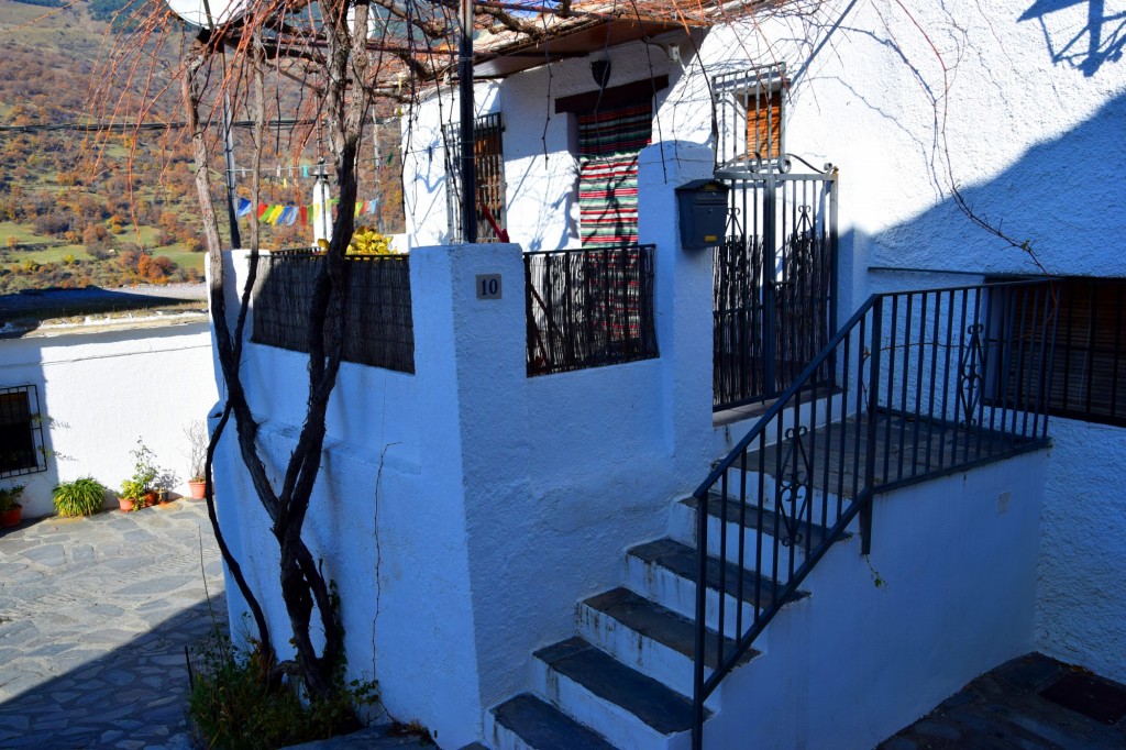 Foto: Terracita - Capileira (Granada), España