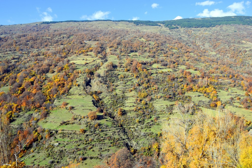 Foto: Tesoros de interior para descansar, contemplar y explorar - Capileira (Granada), España