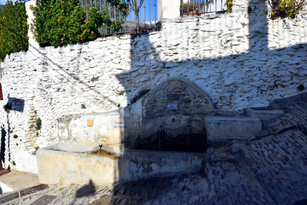 Foto: Fuente del Cerezo - Capileira (Granada), España
