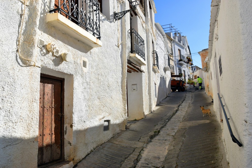 Foto: Calle Cerezo - Capileira (Granada), España