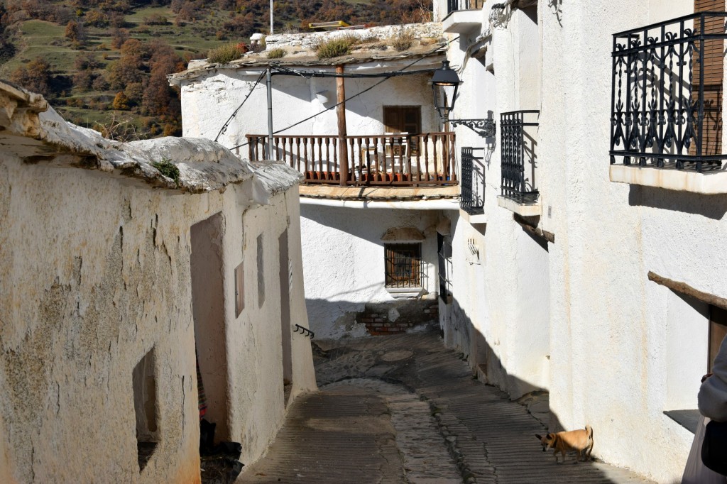 Foto: Curioso balcón en la Calle Cerezo - Capileira (Granada), España