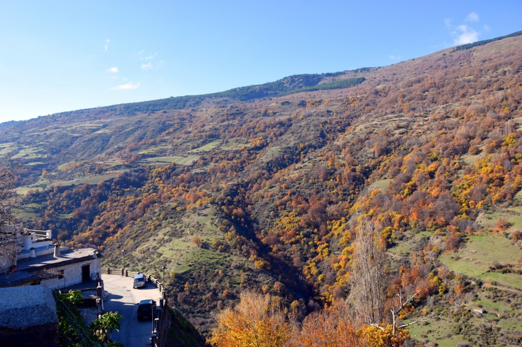 Foto: Capillaris-e que significa Lugar más elevado - Capileira (Granada), España
