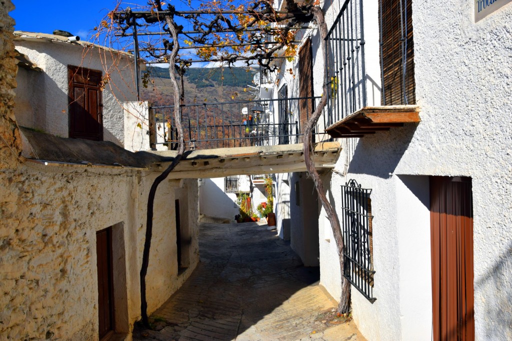 Foto: Calle Trocadero - Capileira (Granada), España