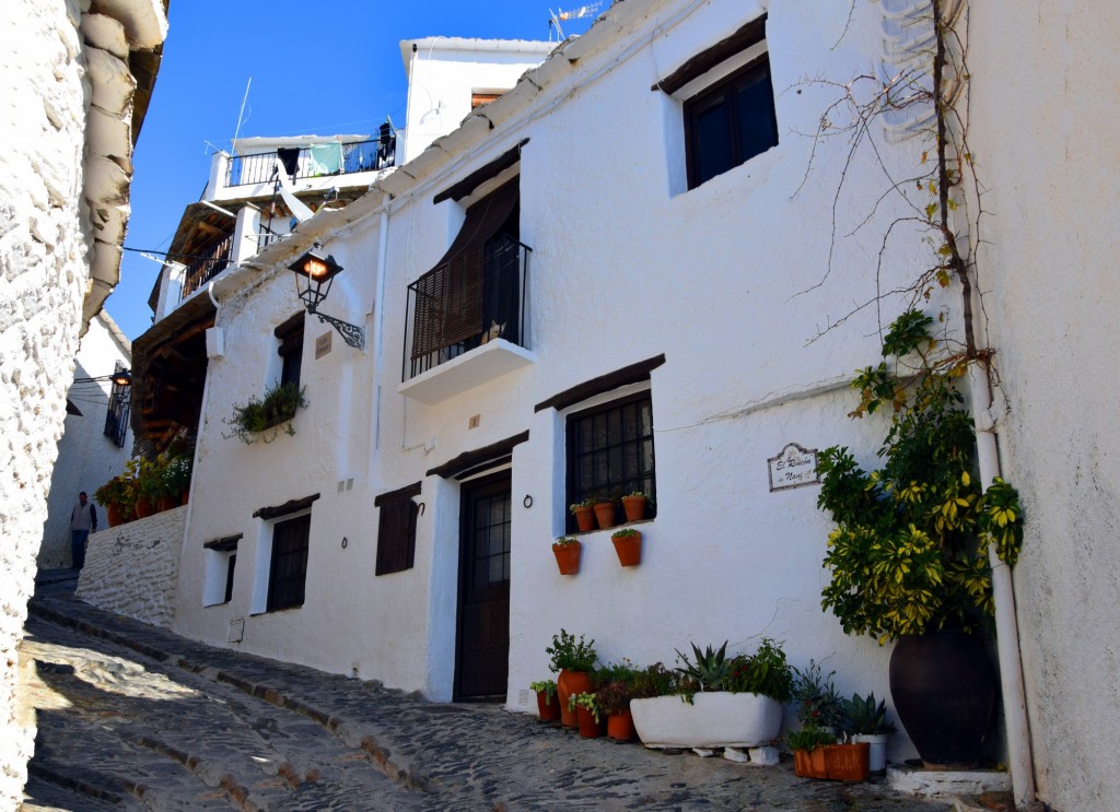 Foto: El Rincón de Nani - Capileira (Granada), España