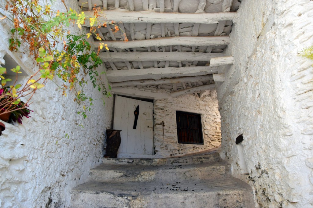 Foto: Tinao con escalones - Capileira (Granada), España