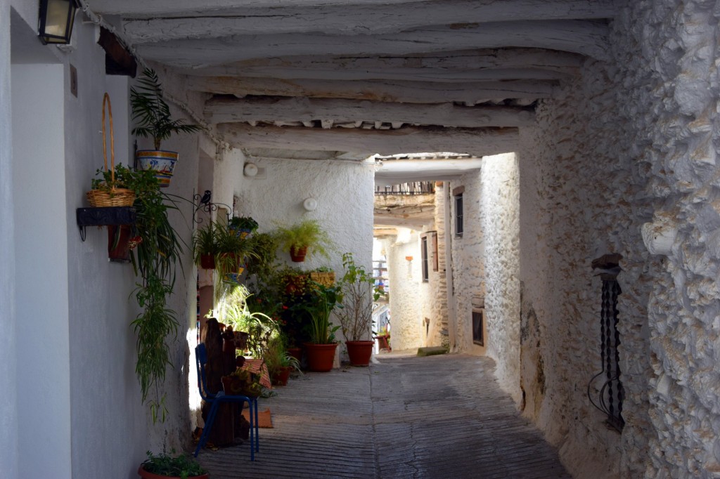 Foto: Tinao, arquitectura exclusiva de la Alpujarra - Capileira (Granada), España