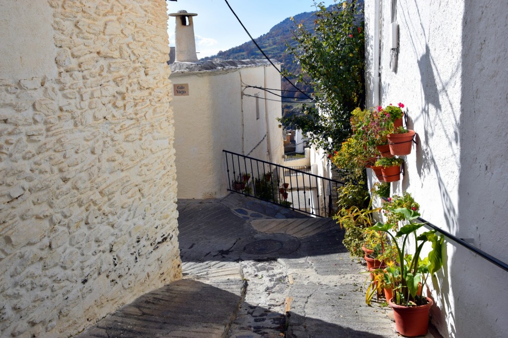 Foto: Tramo de Calle Vieja - Capileira (Granada), España