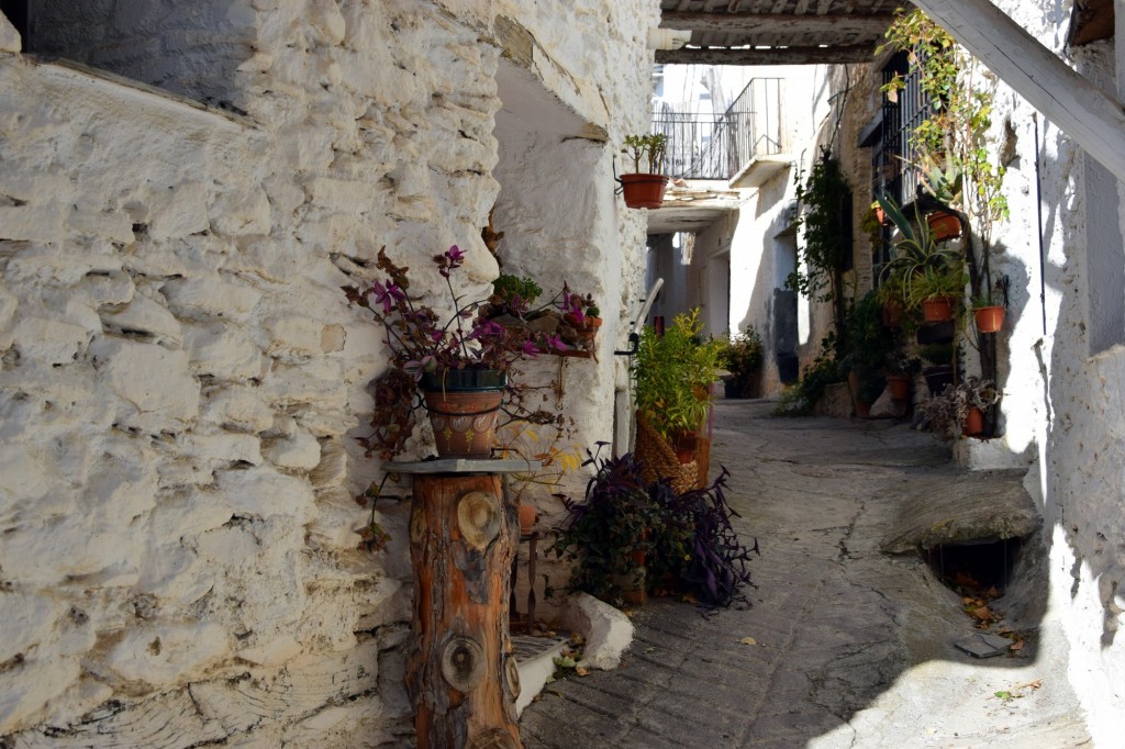 Foto: Calles de los Tinaos - Capileira (Granada), España