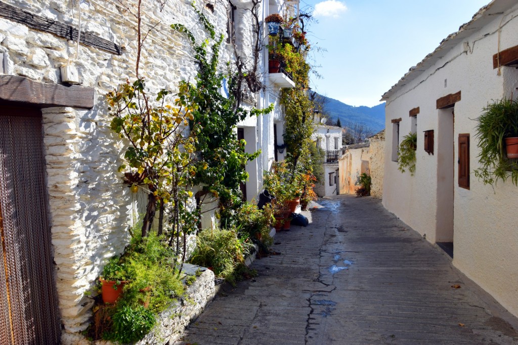 Foto: Calle Vieja - Capileira (Granada), España