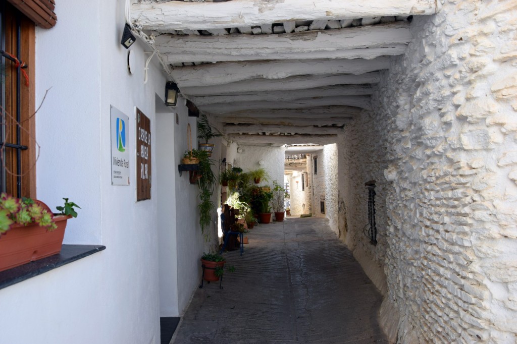 Foto: Tinao - Capileira (Granada), España