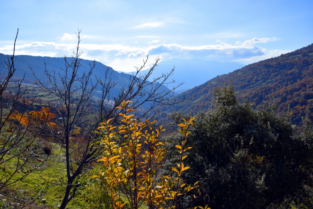 Foto: Espléndidos parages, de frondosa vegetación Y espectaculares vistas - Capileira (Granada), España