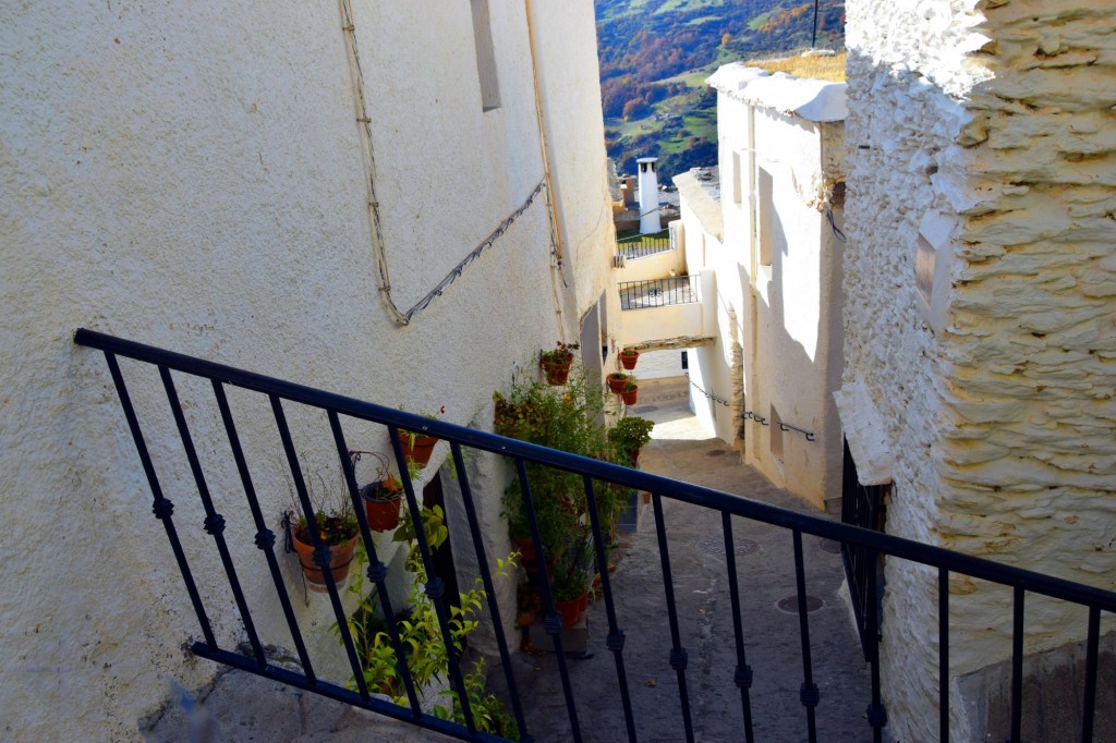 Foto: Bajada a Calle del Moral - Capileira (Granada), España