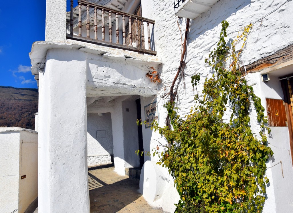Foto: Casa Museo - Capileira (Granada), España