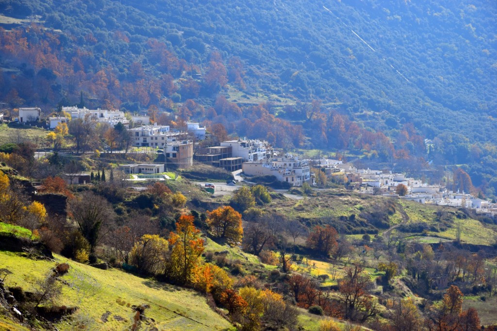 Foto: Barranco del Tejar - Capileira (Granada), España