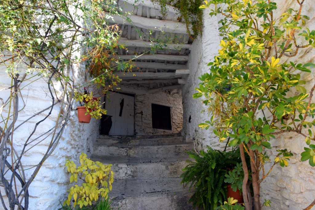 Foto: Tinao de la Carihuela - Capileira (Granada), España