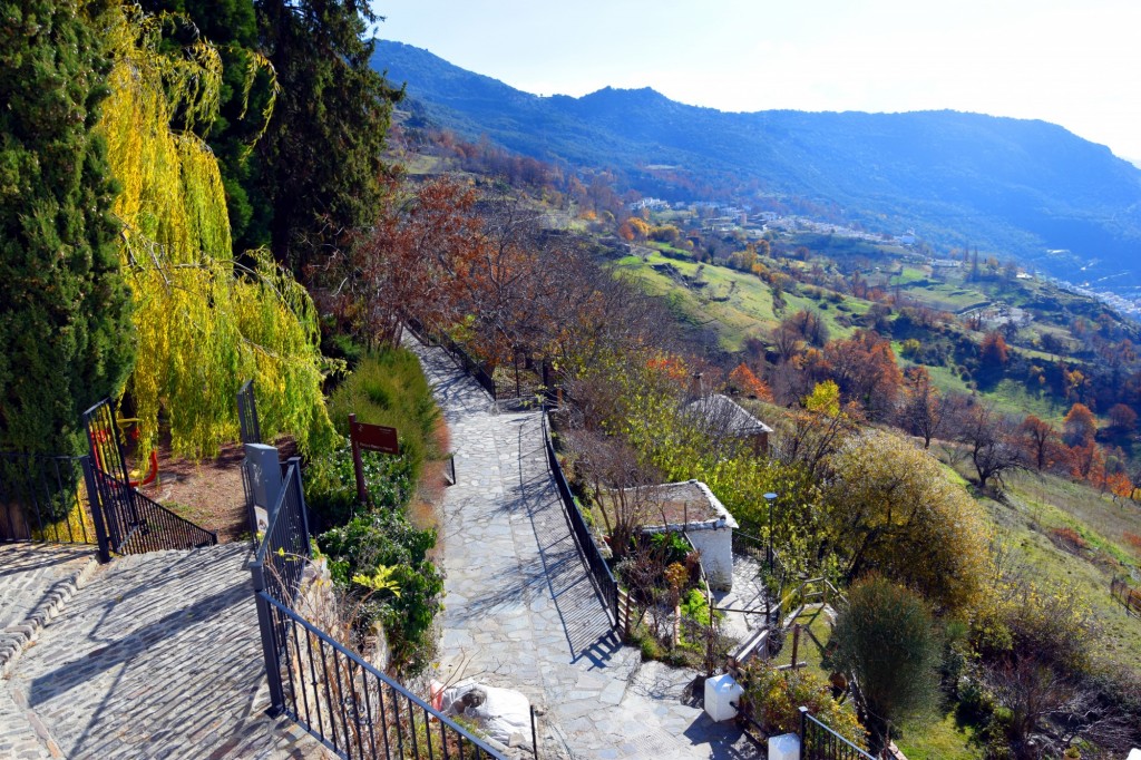 Foto: Camino Real de Poqueira - Capileira (Granada), España