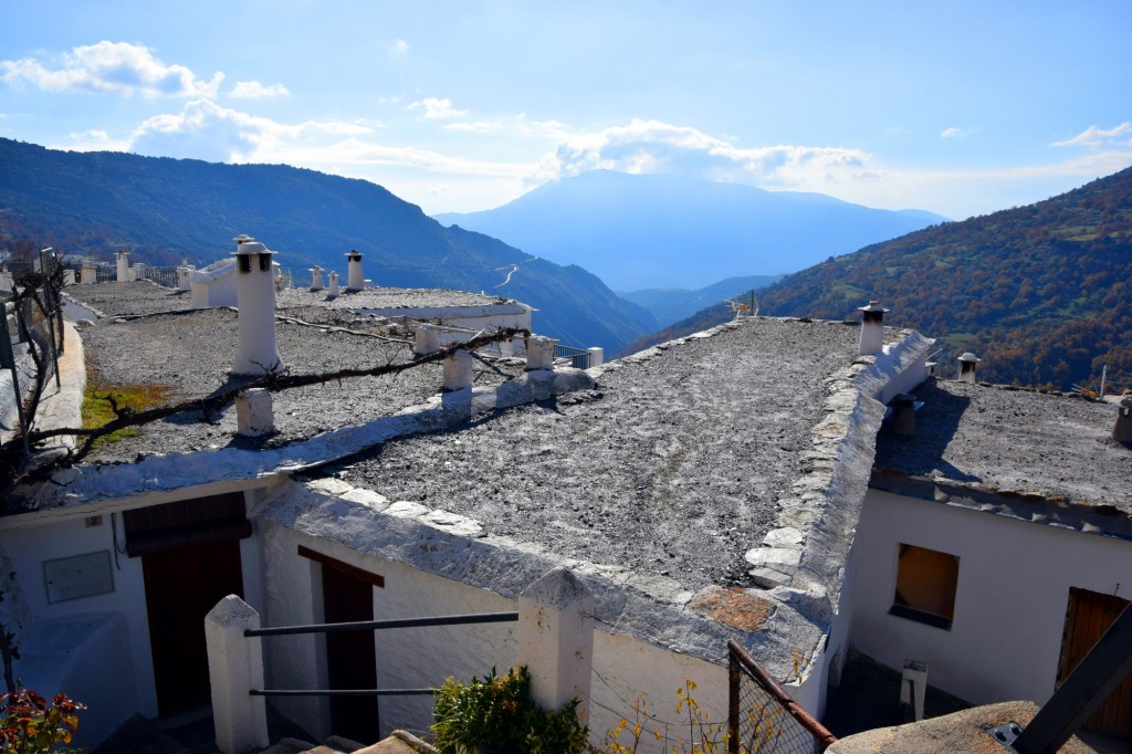Foto: Tejados típicos - Capileira (Granada), España