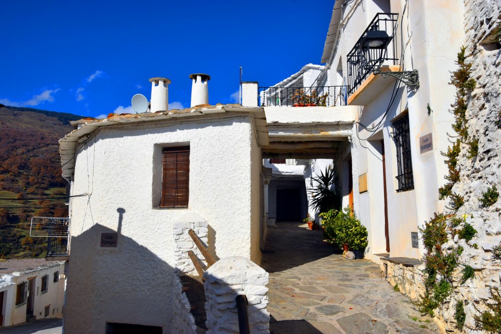 Foto: Calle Quinqué - Capileira (Granada), España