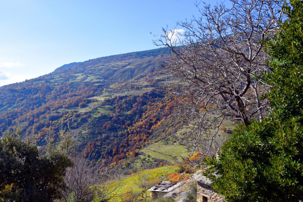 Foto: Vistas a Eras de Aldeire - Capileira (Granada), España