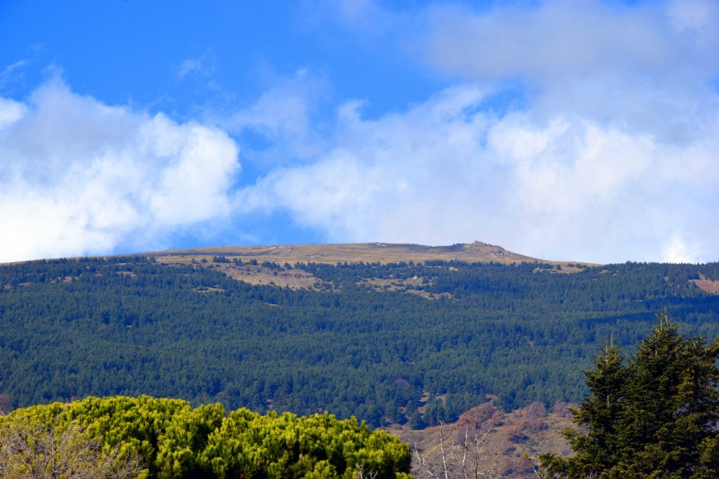 Foto: Vistas al Barranco de las Rozas o de los Pradillos - Capileira (Granada), España